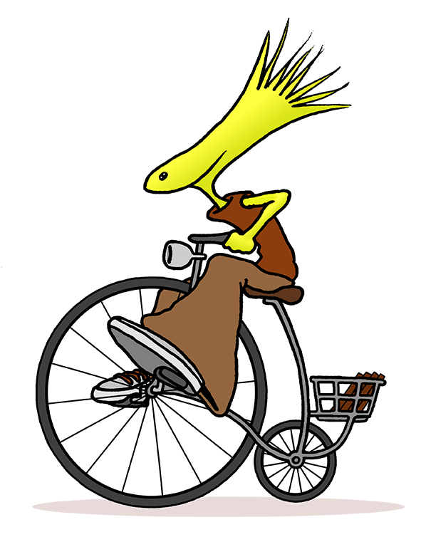 KCM Bike Guy